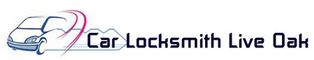 car locksmith live oak logo